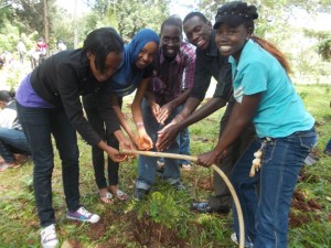 After tree planting...