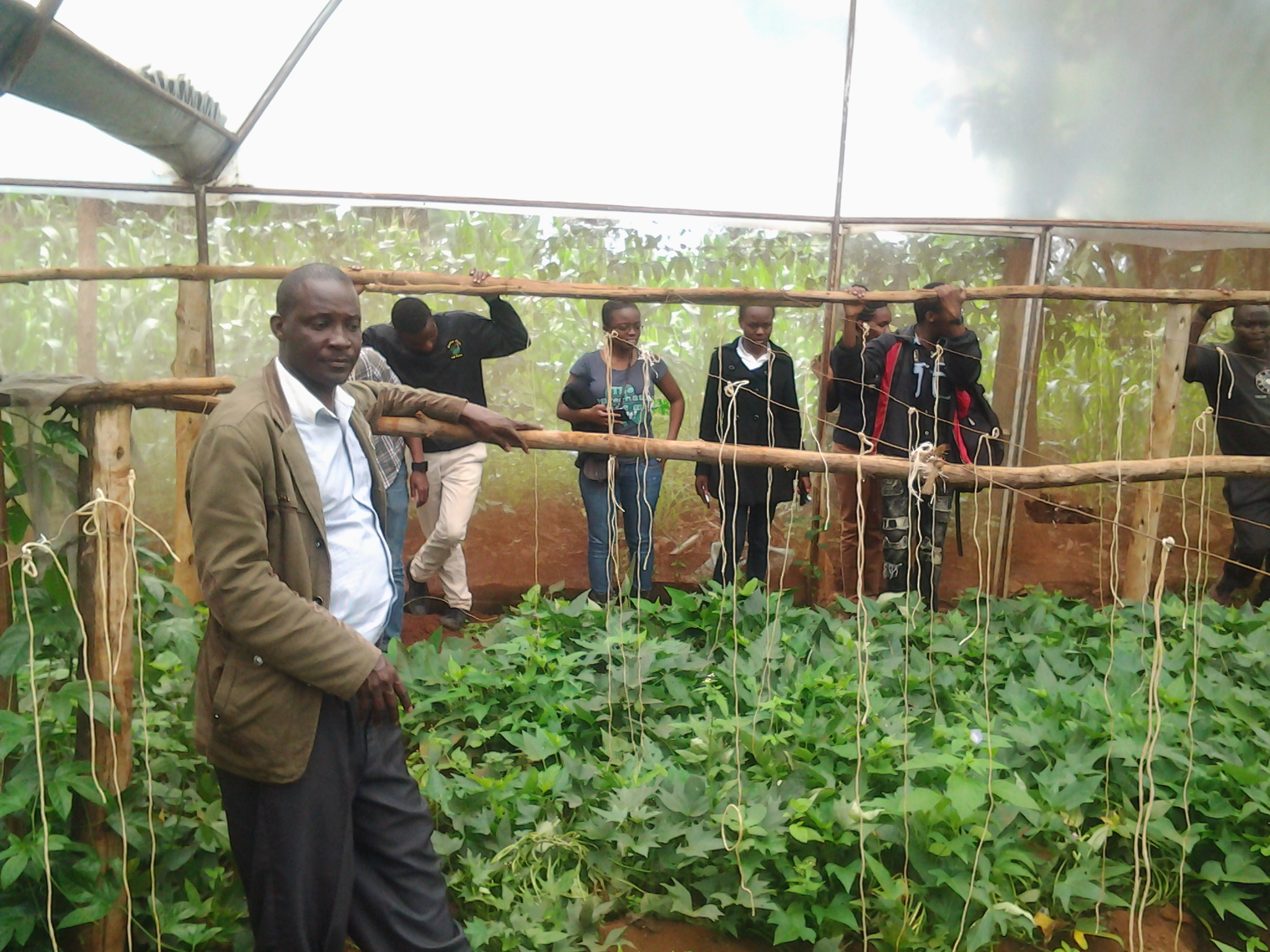 close up is the patron with students in a green house in Juja Farm