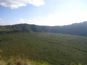 The forest in the crater
