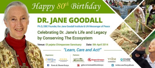 Dr.Jane's Birthday Celebration